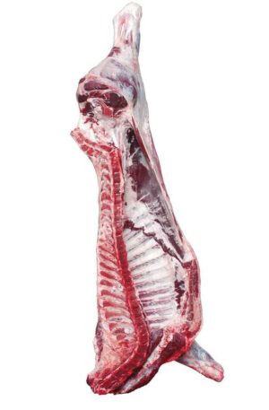 Frozen Beef Carcass