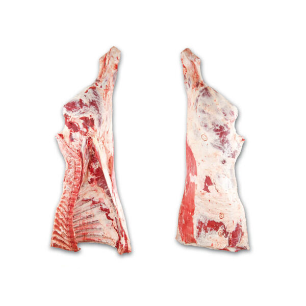 Frozen Beef Hind Quarter