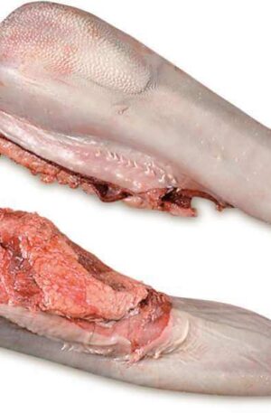 Frozen Beef Tongue