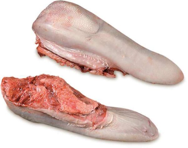 Frozen Beef Tongue