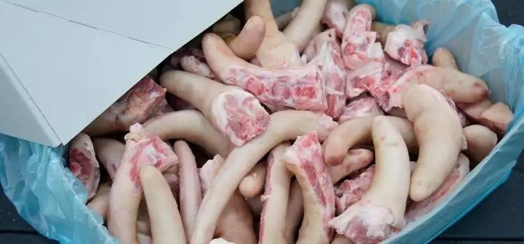Buy Frozen Pork Meat from Brazil