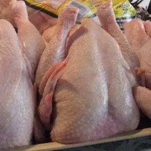 Halal Frozen Chicken from Brazil